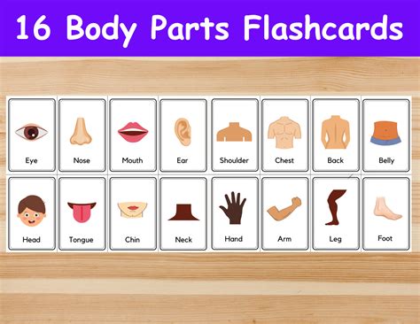 brillo Conciencia espacio parts of the body flashcards printable mundo ...