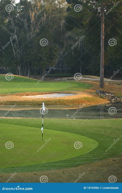 Golf Course Green stock photo. Image of hole, green, golfing - 1016906