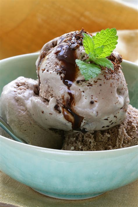 Sugar Free Chocolate Ice Cream Recipe | CDKitchen.com