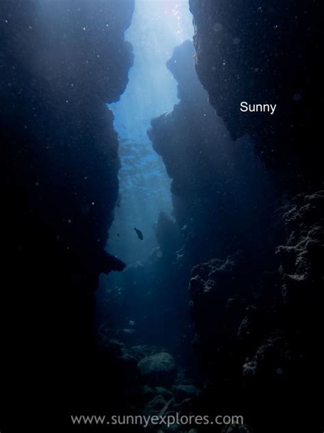 Dive sites in Dahab Egypt: El Bells and the Blue Hole