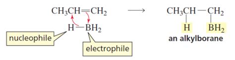 Organic Reactions — Hydroboration