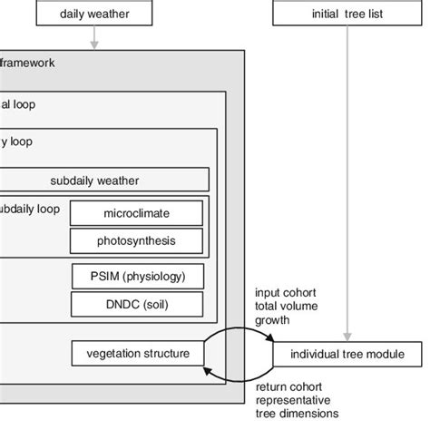 Individual tree DBH growth 2001–2005 shown as plot level span of DBH ...