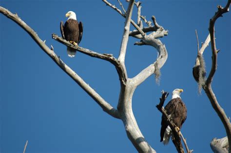 Paynes Prairie History Hike - Adventure Outpost