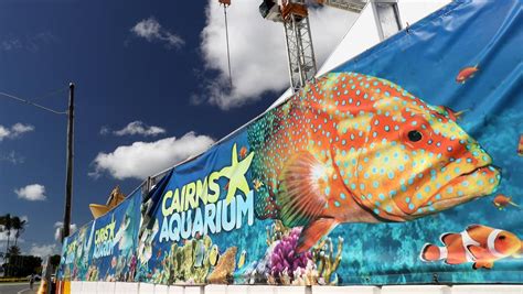 New aquarium: Townsville Mayor wants answers over coral | Townsville ...