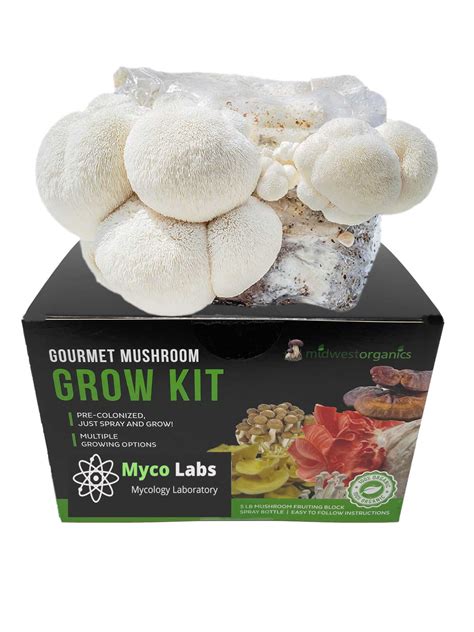 Lion's Mane Mushroom Grow Kit (5lbs)