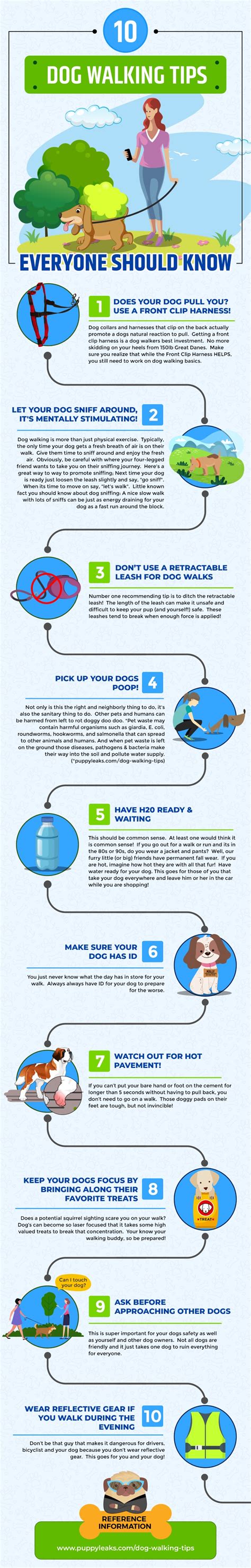 10 Dog Walking Tips Everyone Should Know - Puppy Leaks