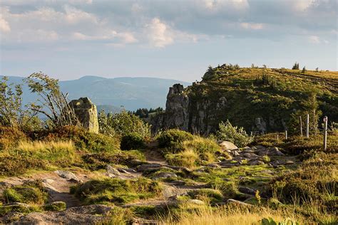 The Vosges mountains in Autumn - 1 Photograph by Paul MAURICE - Fine ...