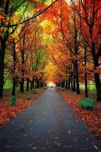 Autumn trees in park with colorful leaves | Beautiful nature pictures ...