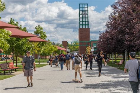 Binghamton University prepares to welcome 18,200+ new and returning ...