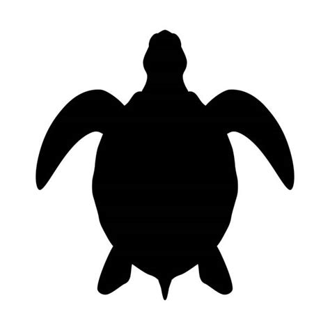 Sea Turtle Silhouette Vector