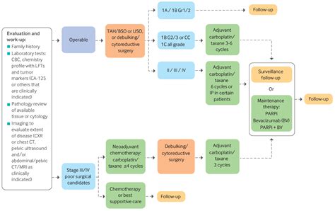 Treatment of epithelial ovarian cancer | The BMJ