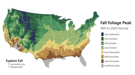 Peak Fall Foliage 2024 Michigan State - Drucy Giralda