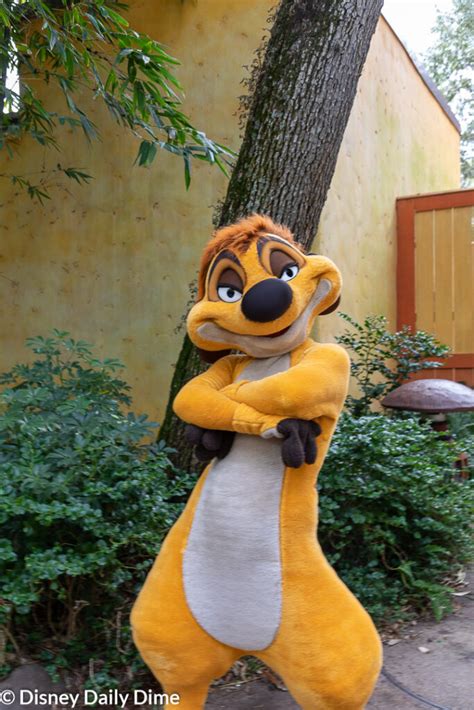 Complete Guide to Animal Kingdom Characters | Disney Daily Dime