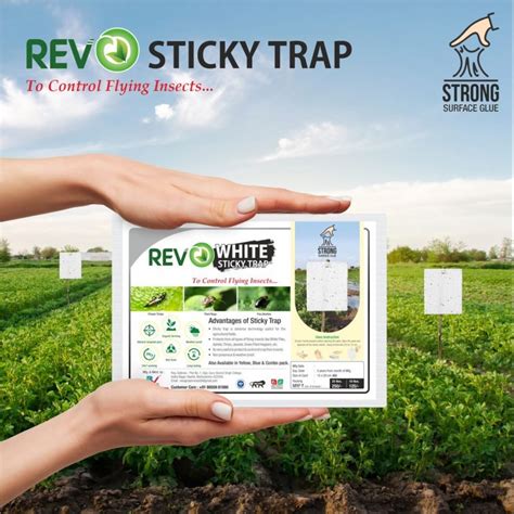 White Sticky Trap (A5 -25 Nos) at Rs 70/pack | Sticky Trap in Nashik ...