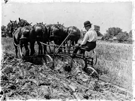 History of modern agriculture | Orlando, FL Patch