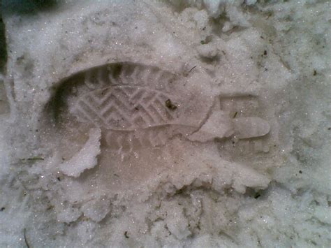 Forensic Science in India: Shoe Impressions On Ice