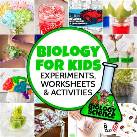 Biology for Kids - Experiments, Worksheets, & Activities