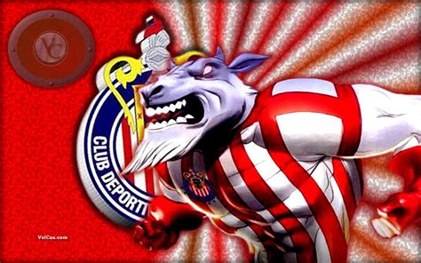 5 Chivas Soccer, club chivas HD wallpaper | Pxfuel