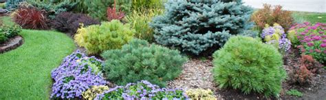 Landscaping with Evergreens :: Melinda Myers