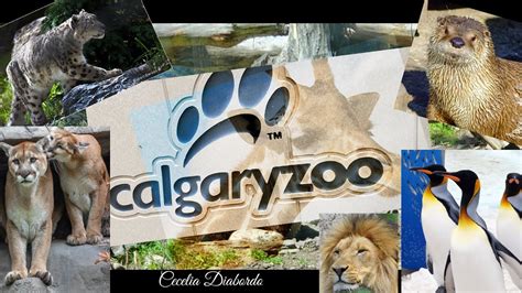 CALGARY ZOO TOUR PART I @ Calgary, Alberta, Canada - YouTube