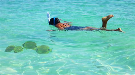 Snorkeling and Scuba Diving CUBA