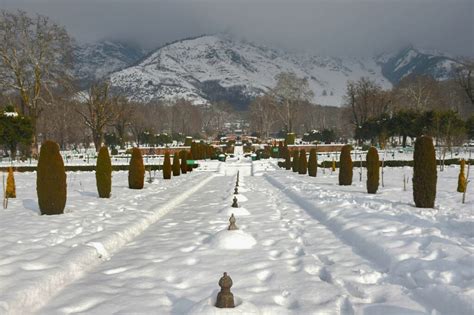 In pics; Snowfall in Srinagar