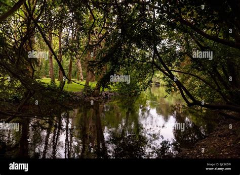 Cong River in Cong, Ireland Stock Photo - Alamy