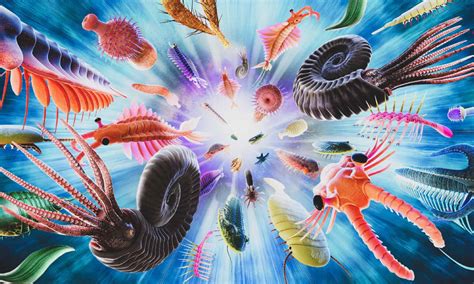 What Is the Cambrian Explosion, and Why Does It Matter? - A-Z Animals