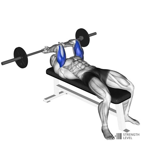 Lying Tricep Extension Standards for Men and Women (lb) - Strength Level