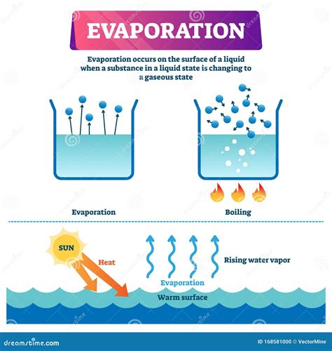 Evaporation Vector Illustration. Labeled Liquid To Gas State Process ...