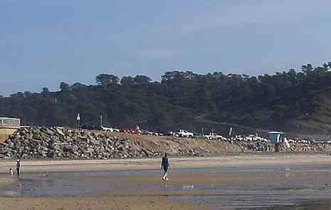 Torrey Pines Beach – Popular Torrey Pines State Beach in La Jolla