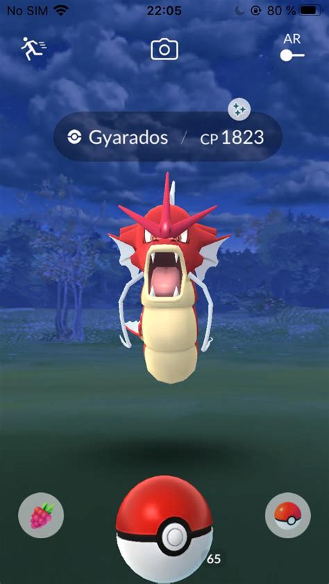 Shiny Gyarados in the wild! : r/TheSilphRoad