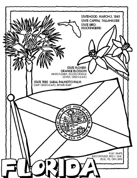 Florida coloring page | State symbols, Flag coloring pages, Coloring pages