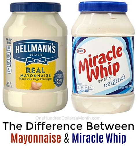 What is the Difference Between Mayonnaise and Miracle Whip? - One ...