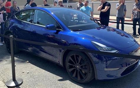 best tesla model y colors - Margart Staples