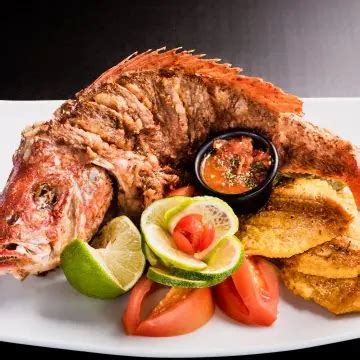 Mangrove Snapper Recipe: The Best Fish You've Never Tried - Blend of Bites