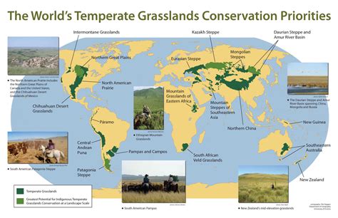 Temperate Grasslands - Biome Map