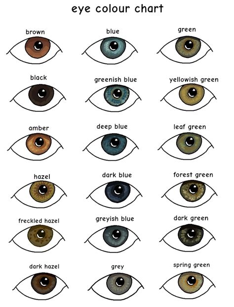 I made an eye colour chart! : r/WhatisMyEyeColour