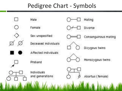 PPT - Pedigree Charts PowerPoint Presentation, free download - ID:2148184