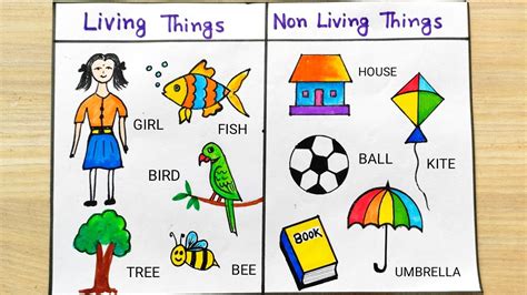 Living Things drawing easy | Non-Living Things for project | Living and ...