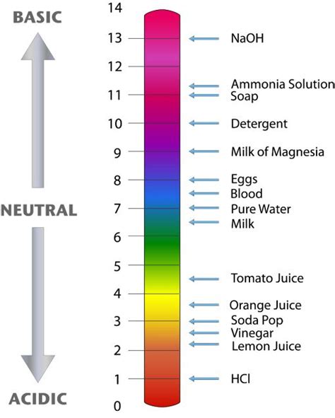 39 best images about ph scale on Pinterest | Biology, Alkaline foods ...