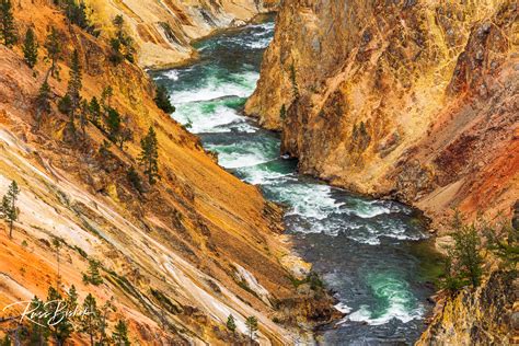 Grand Canyon of the Yellowstone | Russ Bishop Photography