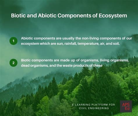 Abiotic and Biotic Components of Ecosystem | Environment