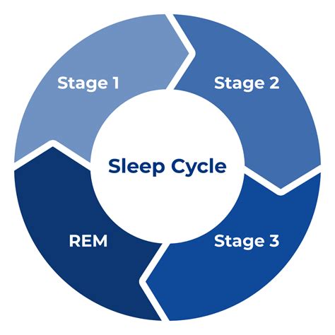 Stages Of Sleep: How Sleep Cycles Works | Sleep Standards