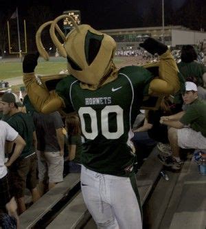 a person in a mascot costume at a football game