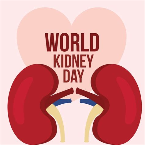 World Kidney Day Logo 2024 - Judye Gwenora