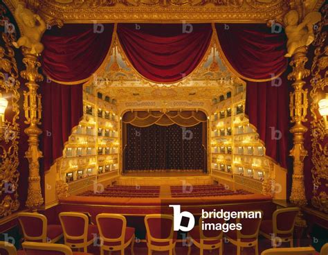 Image of Interior View of Teatro La Fenice (photo)