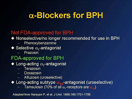 Improving Outcomes in BPH: A Review of Intervention Strategies in the ...