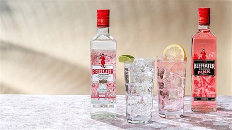 15 Popular Gin Brands, Ranked