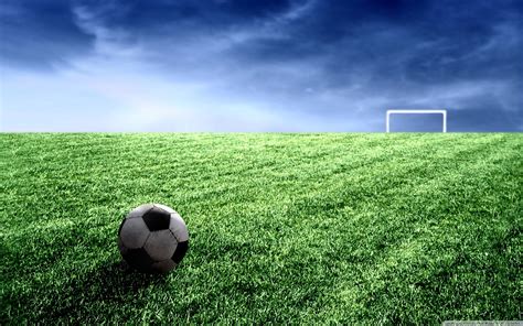 Soccer Field Wallpapers on WallpaperDog